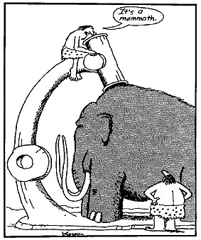 Far Side, November 1998