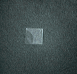 Cover-slip Image
