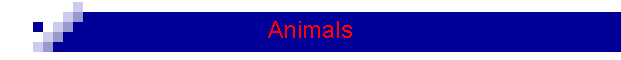 Animals