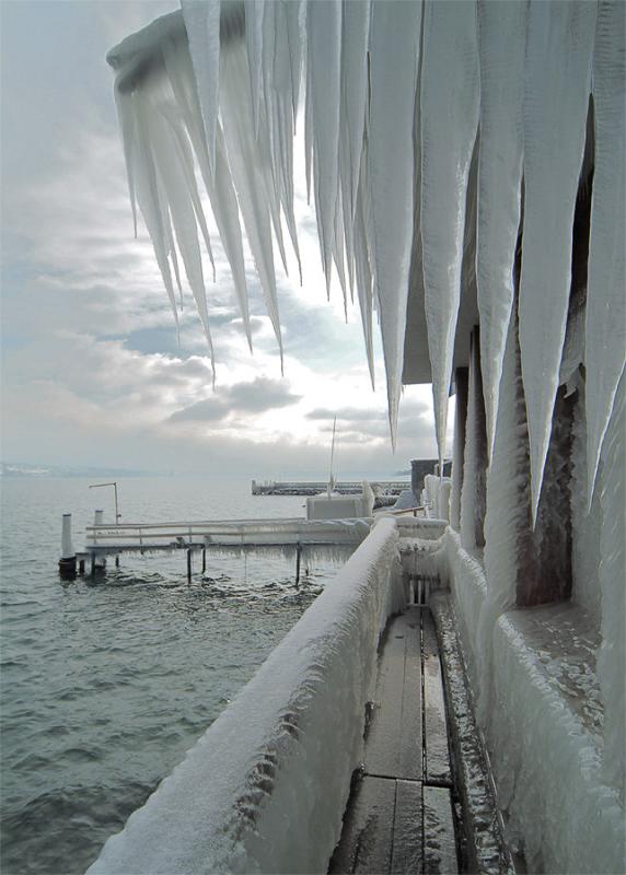 Айс шторм. Ледяной шторм Швейцария 2005. (2023) Ice Storm. Ледяной шторм в Женеве. Эстетика ледяной шторм.